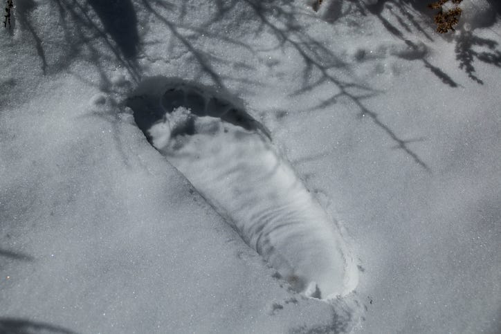 Alleged Yeti footprint