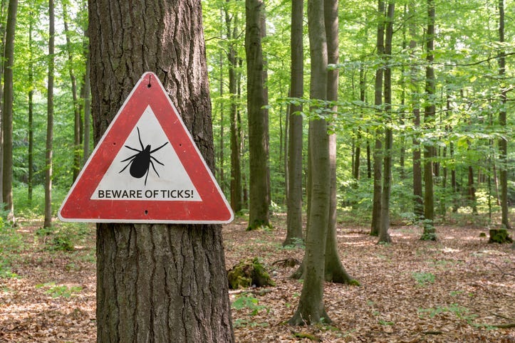 Tick warning.
