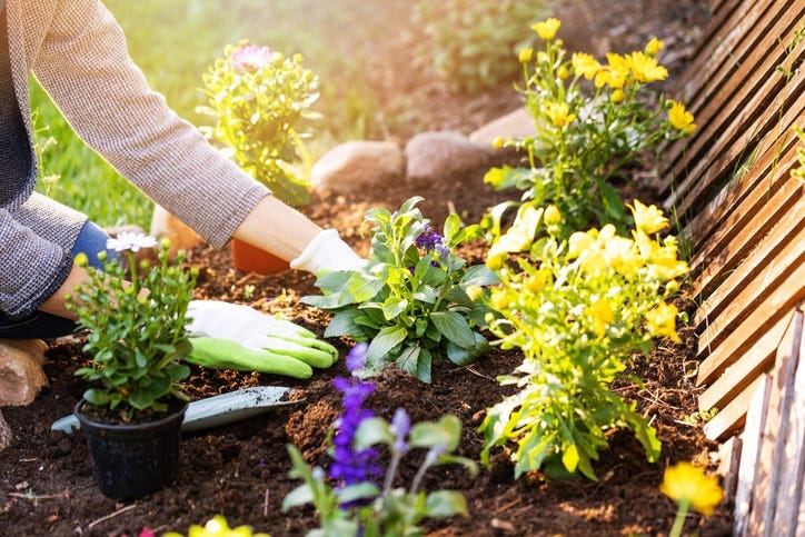 Gardening.