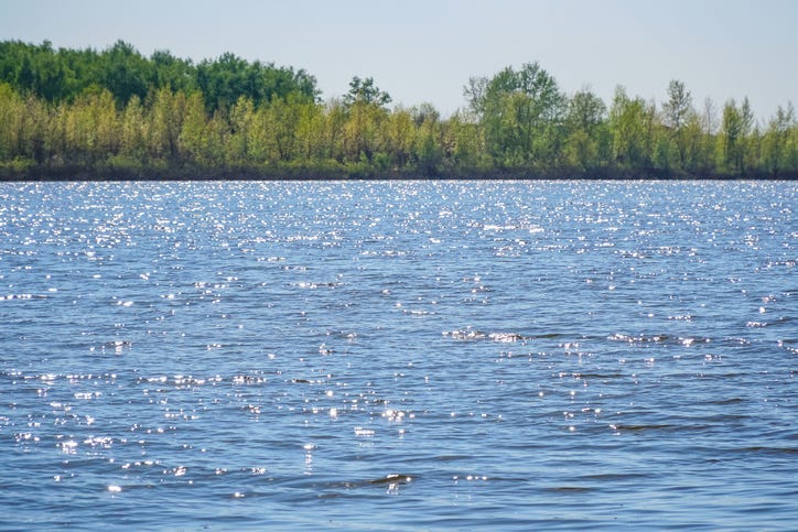 Lake, Lake Water, 