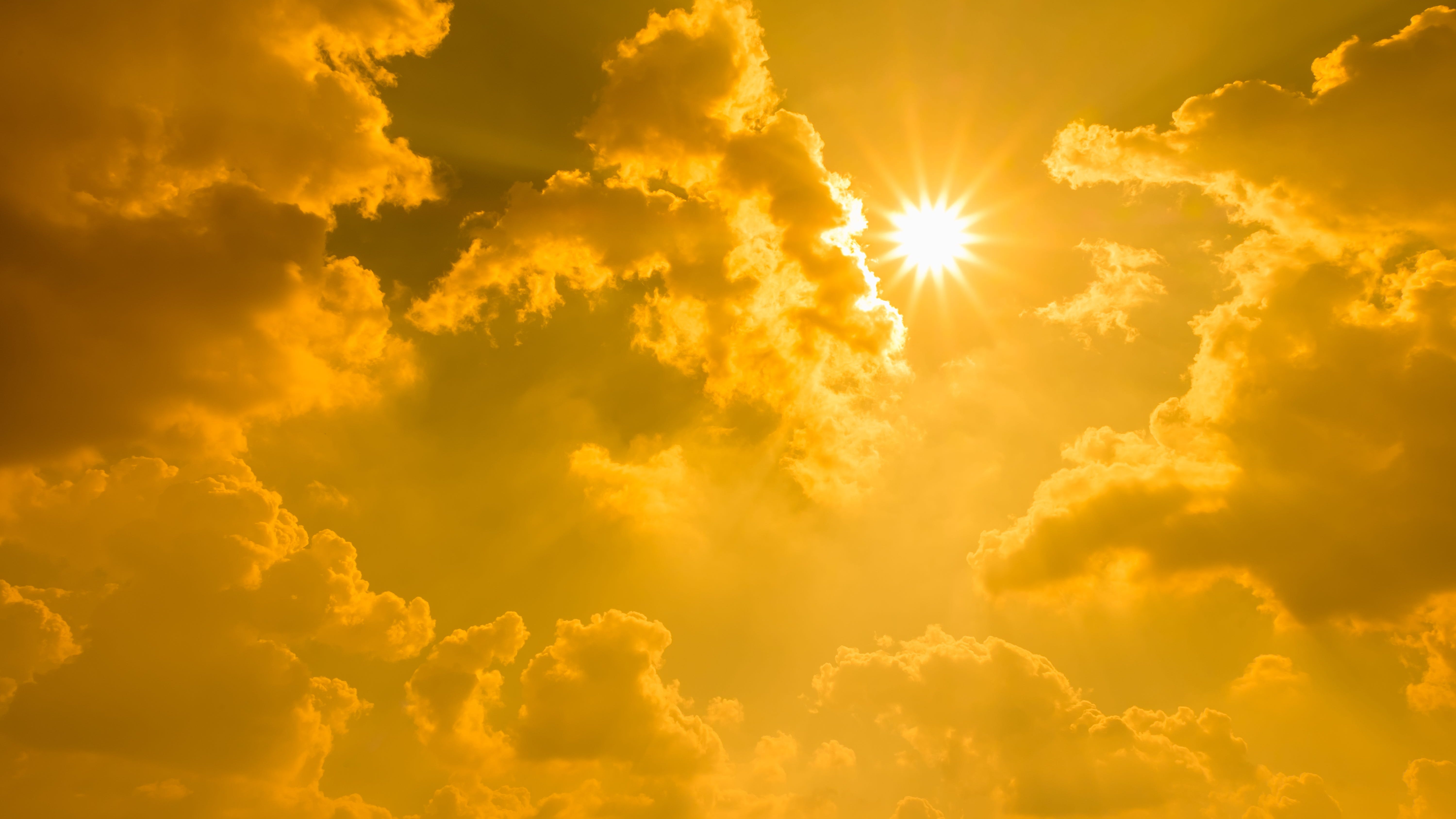 Extreme heat across the region provides dangers for elderly, as well as pets