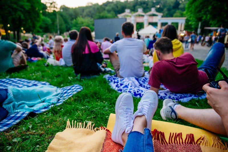Movie in the Park