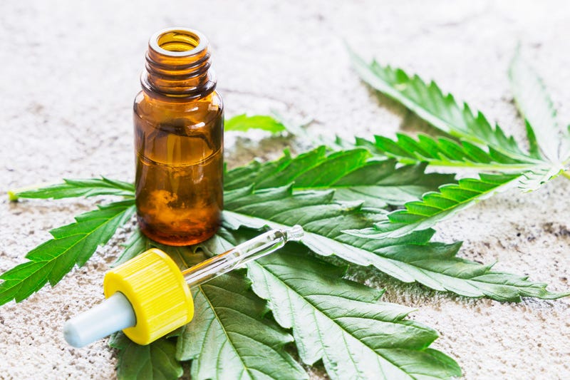 Cannabis