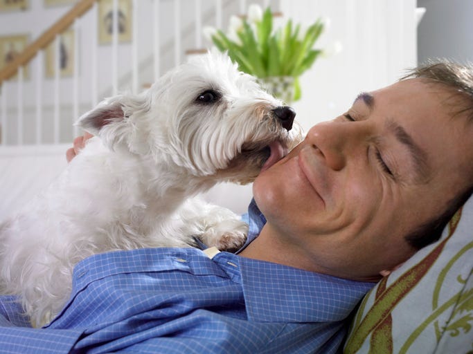 perro