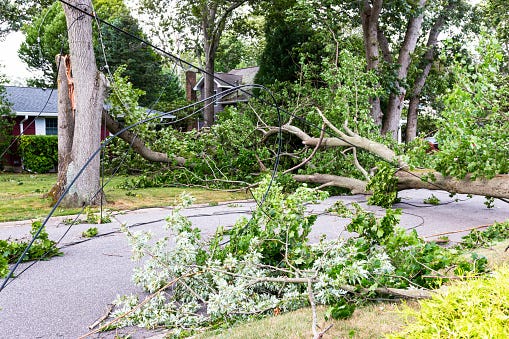 Storm damage