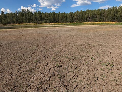 Drought