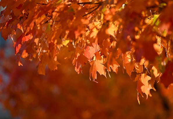 Fall