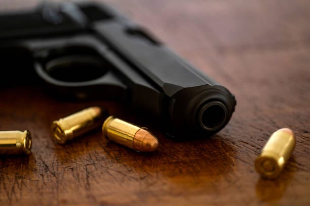 Measure increases programs to decrease gun violence