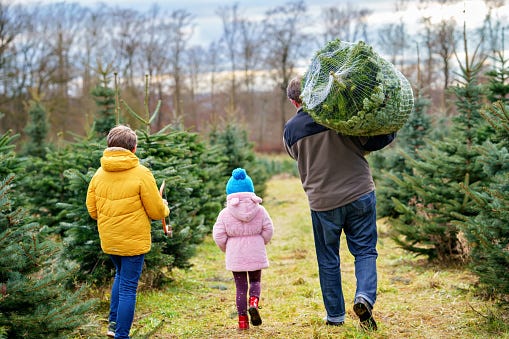 Family choosing the perfect Christmas tree