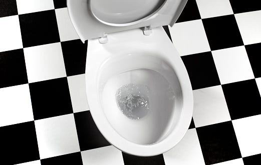 toilet