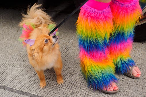 Dog pride