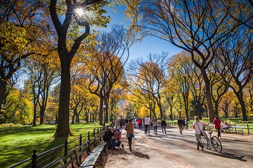 NYC fall