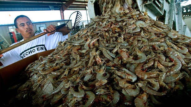 Foreign seafood exporters rely on slave and child labor to trim costs; tariffs could help U.S. shrimp companies stay competitive