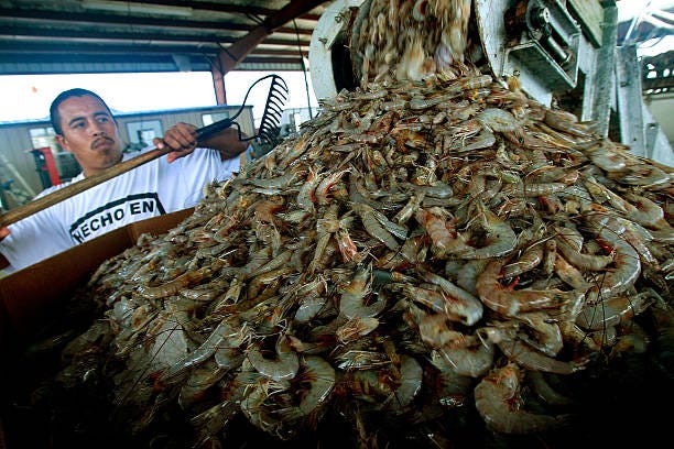 Louisiana Shrimp Company