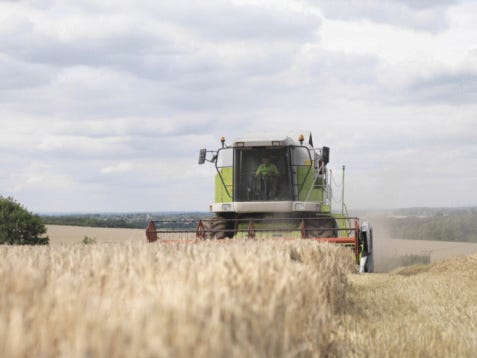 Wheat harvest