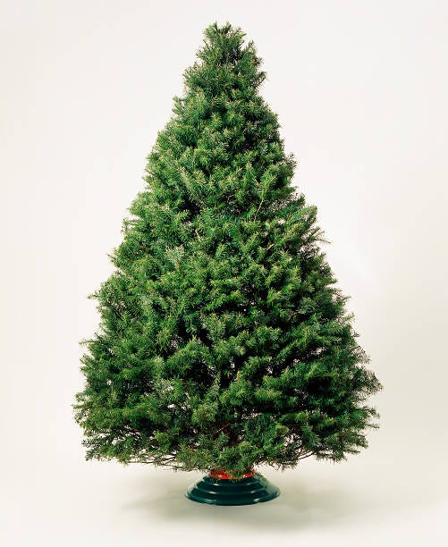 Customers shopped early for Christmas trees