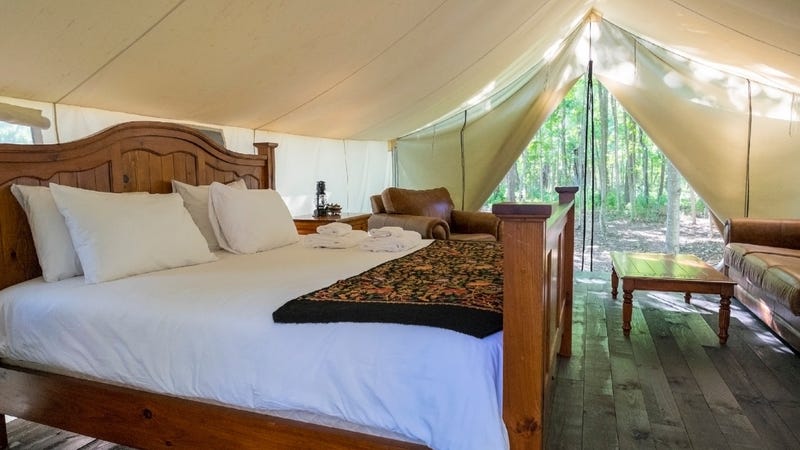 Fancy tent for glamping