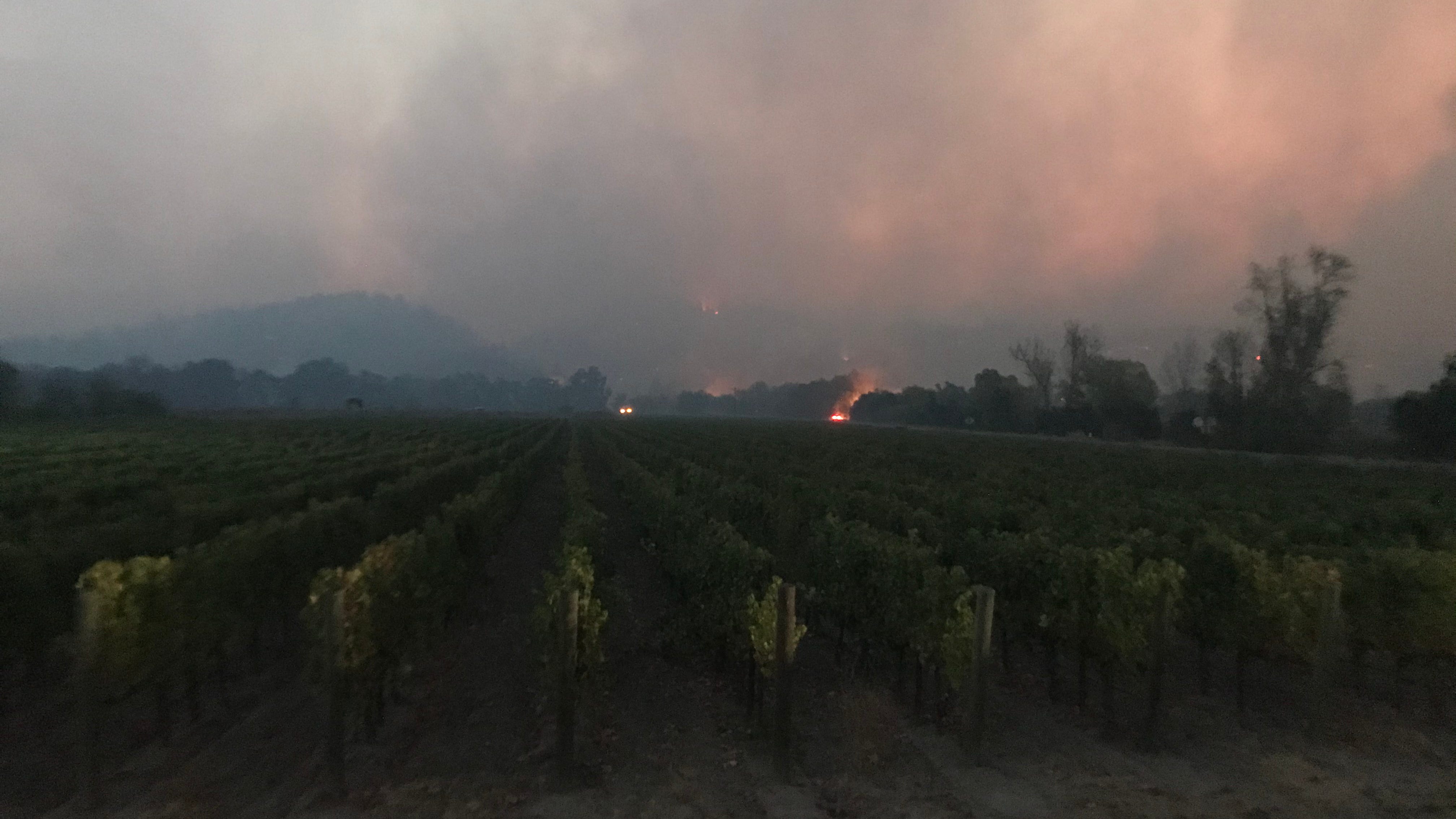 Repeated wildfires have some winemakers looking for greener pastures