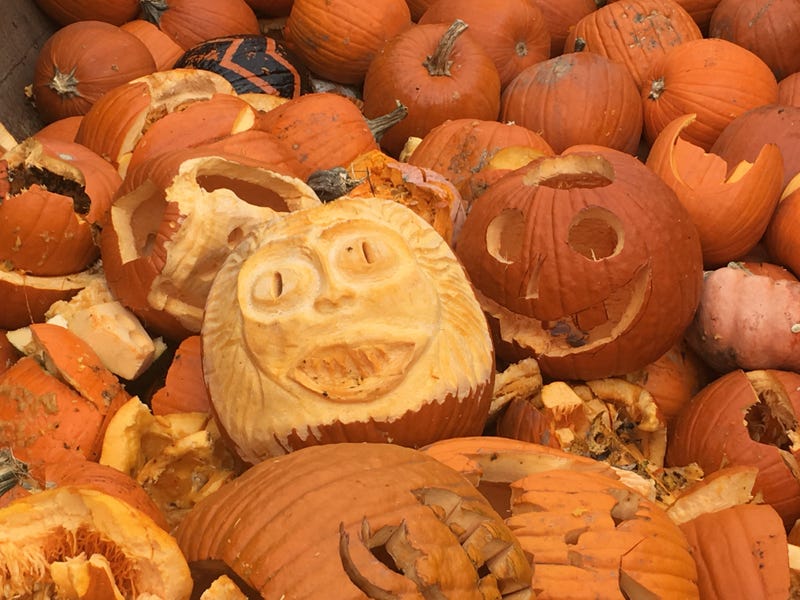 Pumpkin Smash recycling program
