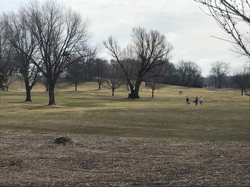 Empty Golf Course