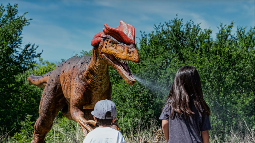Grapevine goes prehistoric