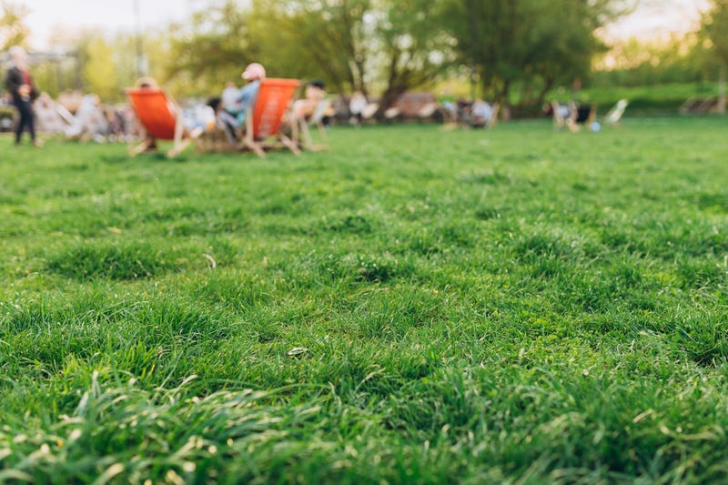 park land