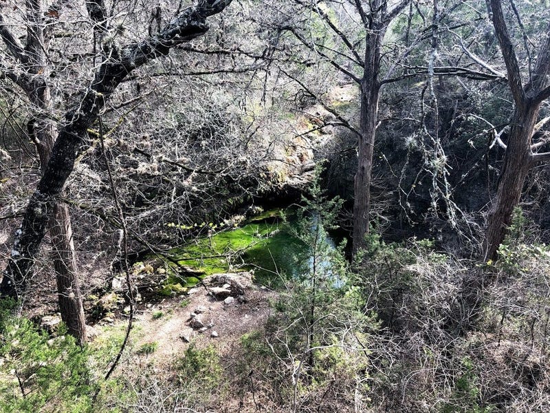 green pool