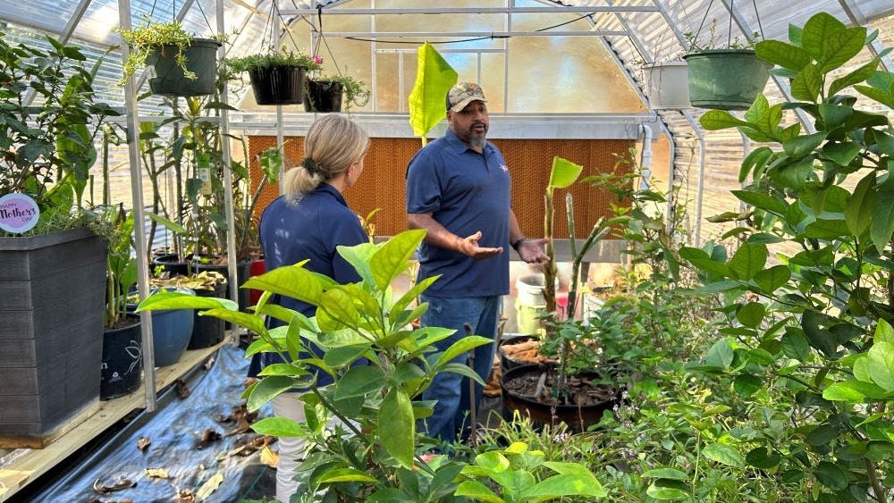 Nonprofit gifts greenhouse so veteran can pursue gardening year-round
