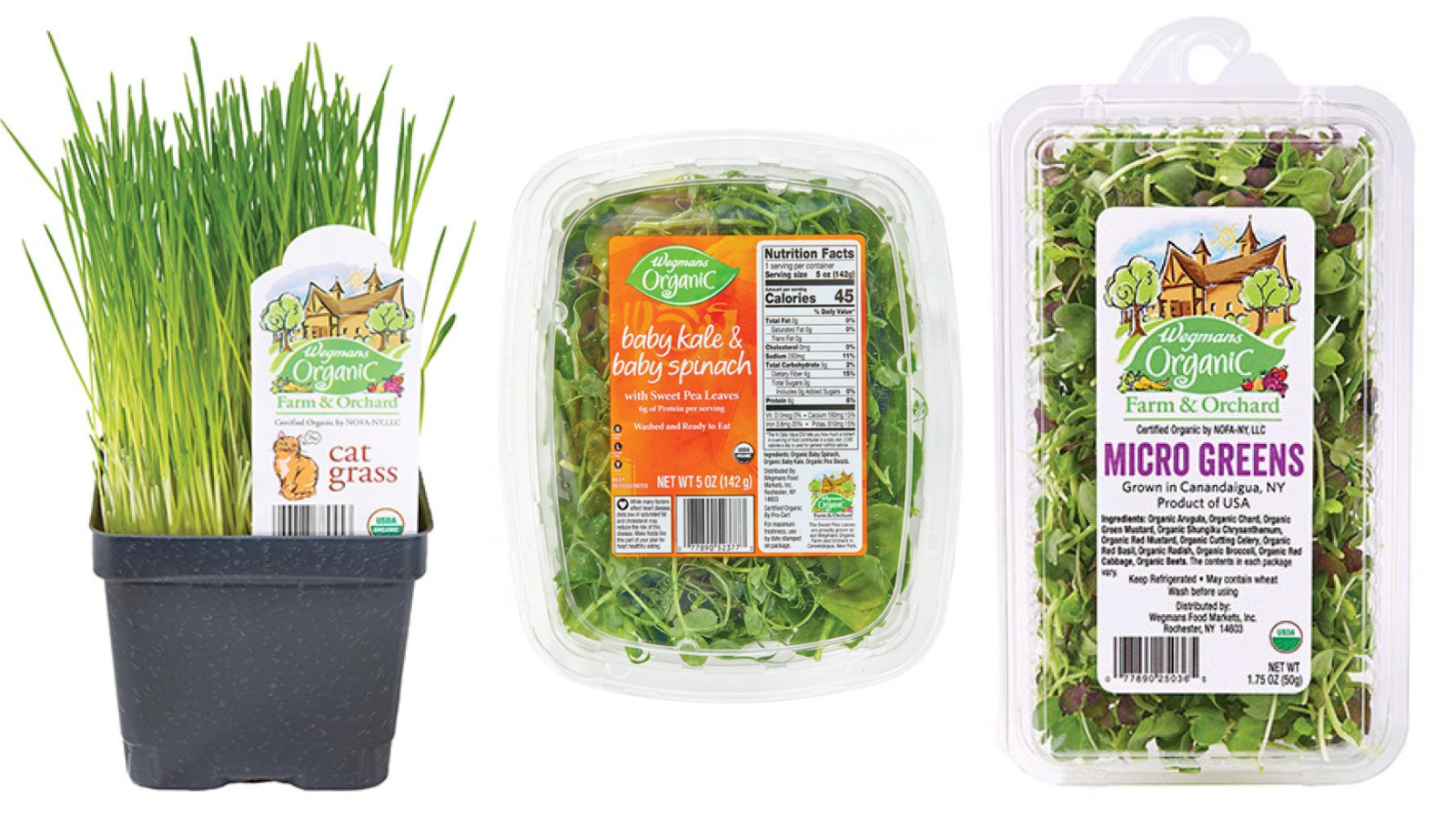 Wegmans recalls greens, cat grass because of possible salmonella risk