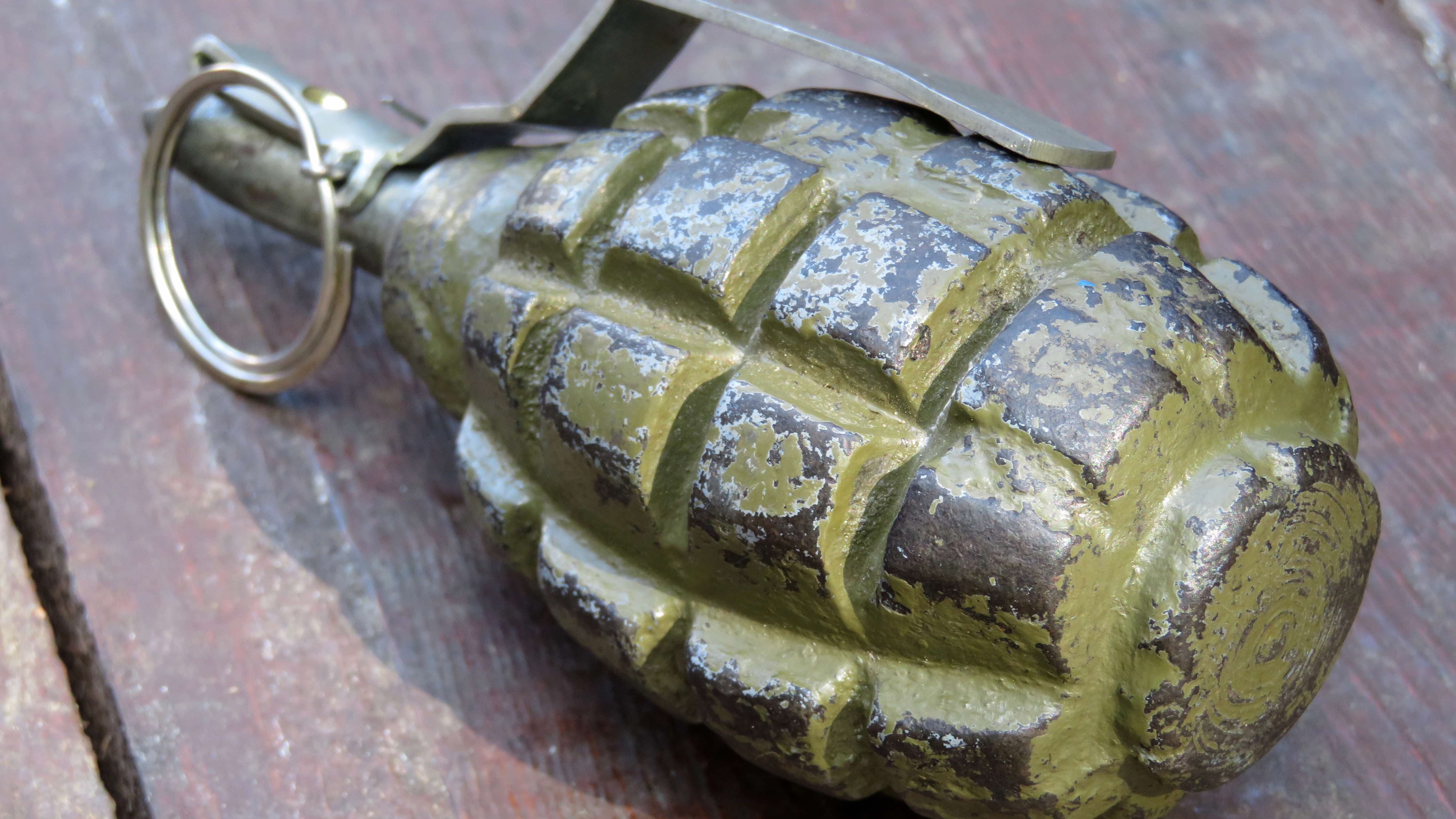 Grenade found at north suburban lake preserve