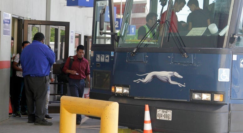greyhound