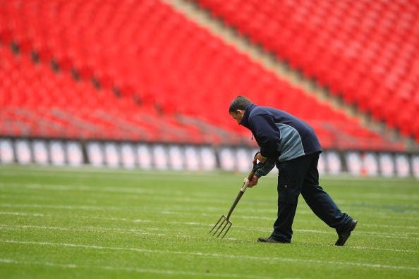 Super Bowl, Kansas City Chiefs, Groundskeeper