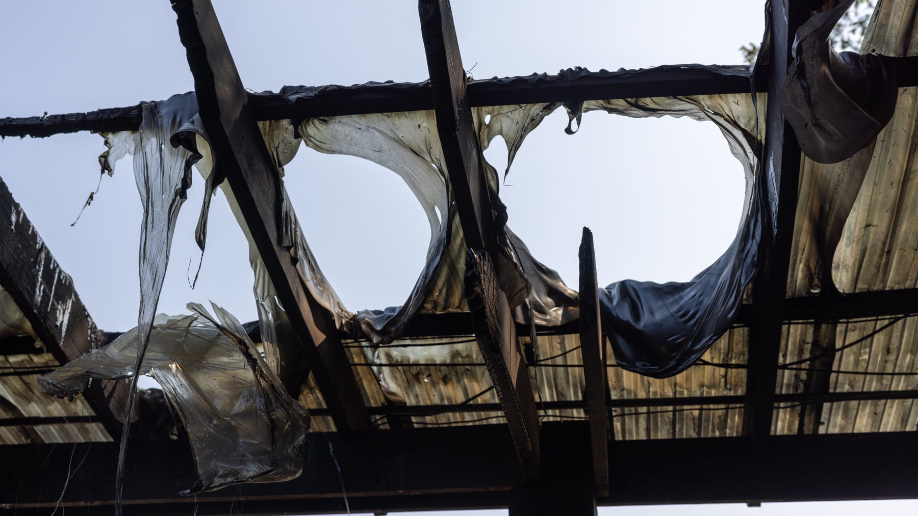 Person of interest in custody after fire at Our Lady of Guadalupe shrine