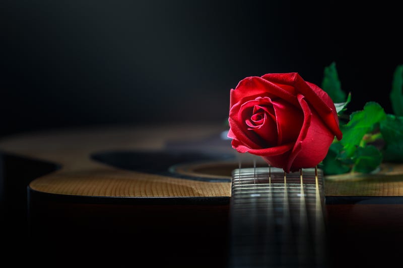 guitar roses