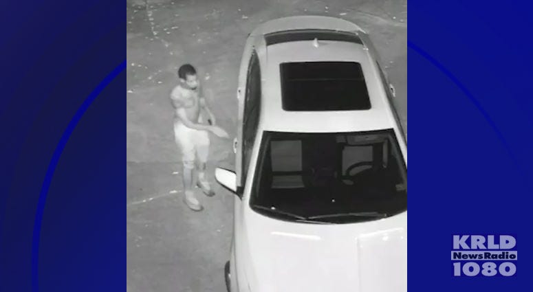 Car Burglary, Gun Theft