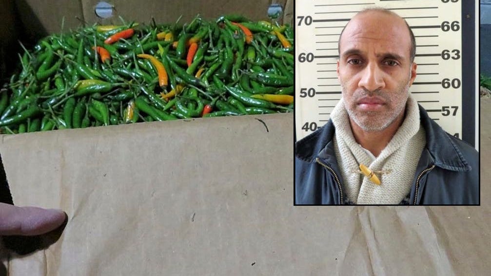 Man smuggles 16 kilos of cocaine in boxes of chilis, sentenced to 13 years: NYC feds