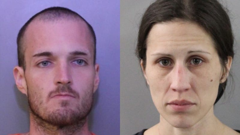 Couple tried to run over Florida K-9, officer; broke into mayor’s house