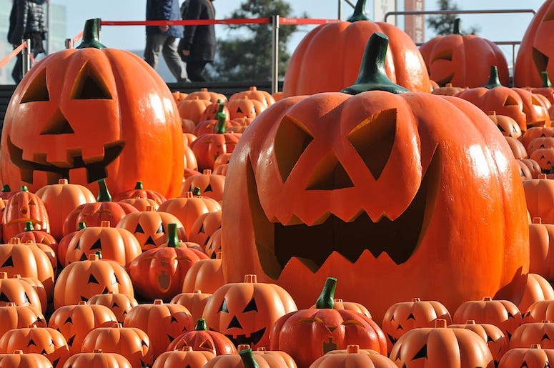 Pumpkins are seen in a market for Halloween season.