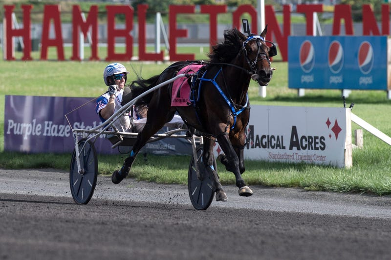 Hambletonian