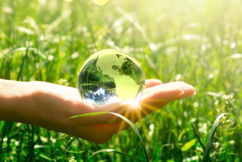 Hand Earth Green Yuliia Getty Images