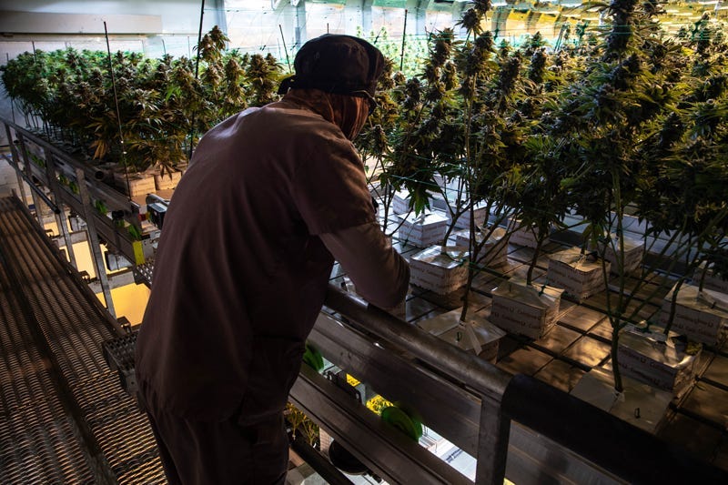 Harmony Dispensary in Secaucus