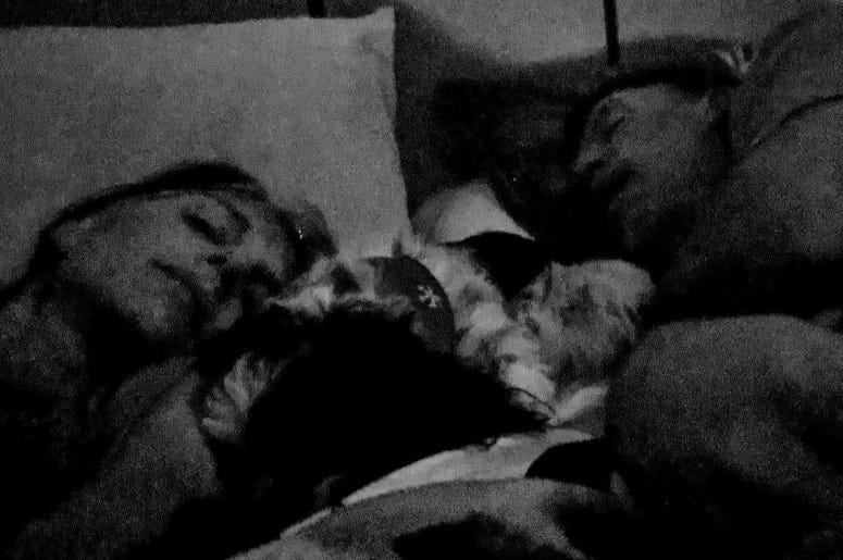 Heather honey Ted & Rudy sleeping