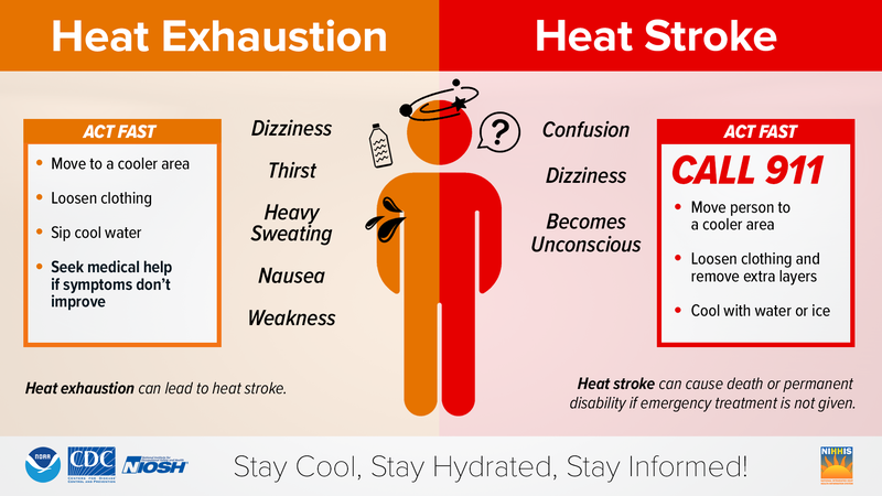Symptoms of heat graphic.