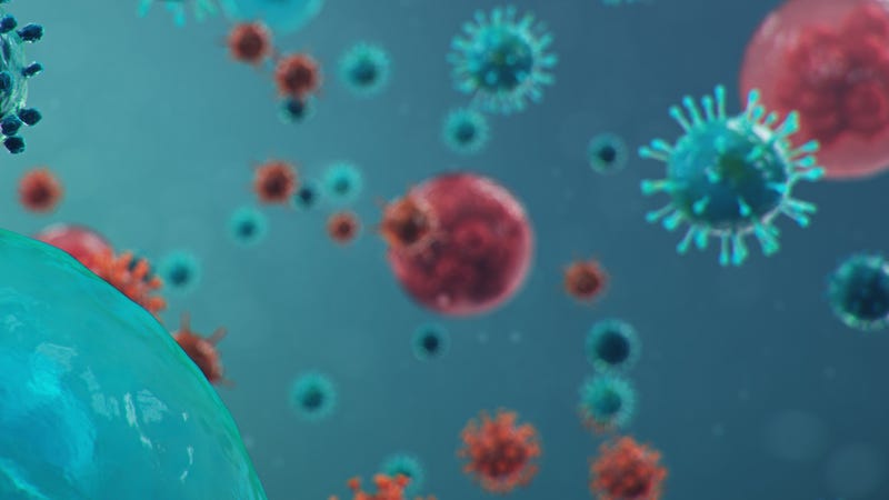 Hepatitis