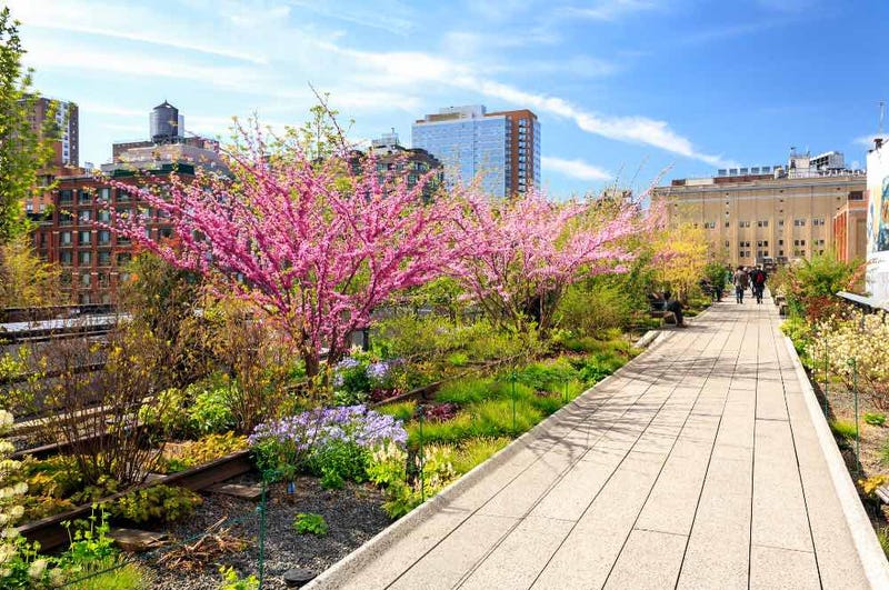 highline nyc