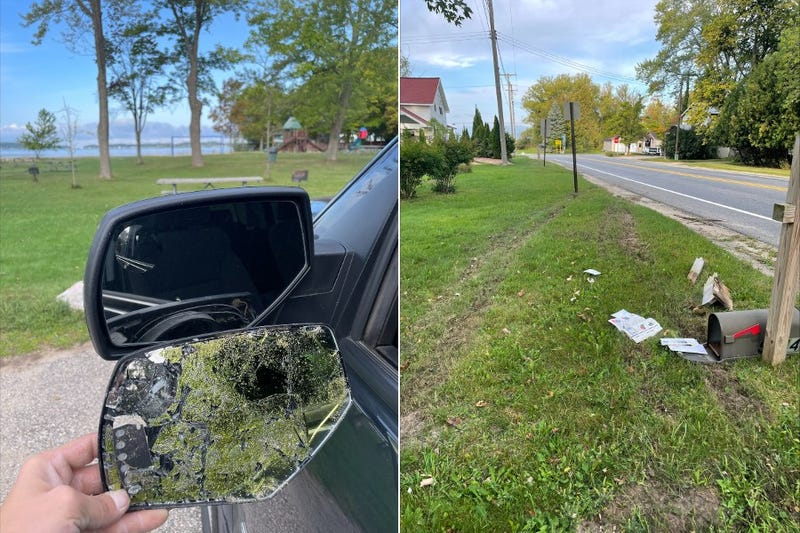 hit and run in Onekama Michigan