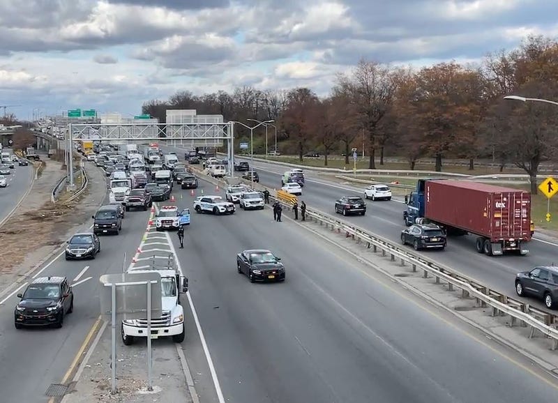 A 41-year-old man was killed near Exit 11 on Van Wyck Expressway on Tuesday morning after pulling over to handle car troubles.
