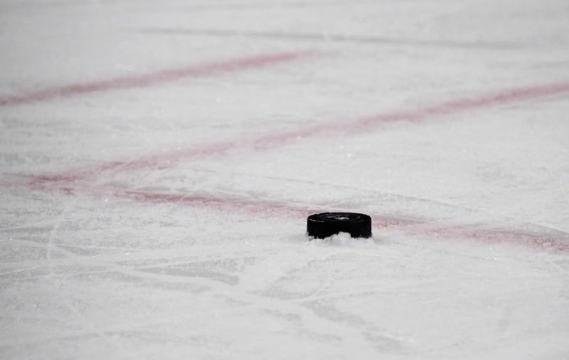 Hockey puck