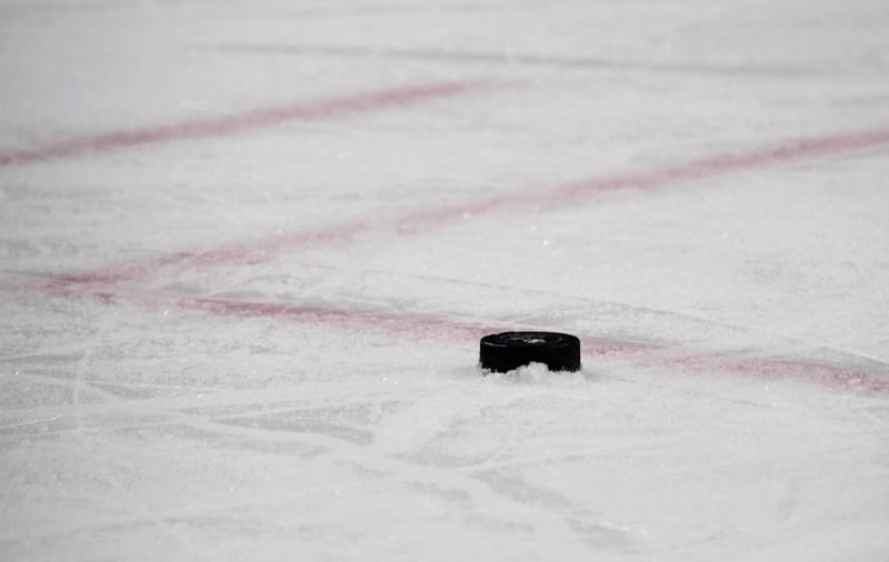 Hockey puck