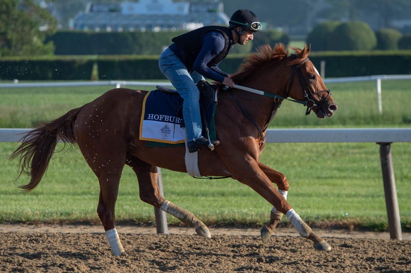 Hofburg trains on the main track in preparation for the 150th running of the Belmont Stakes at Belmont Park on Jun 5, 2018. Mandatory Credit: Dennis Schneidler-USA TODAY Sports